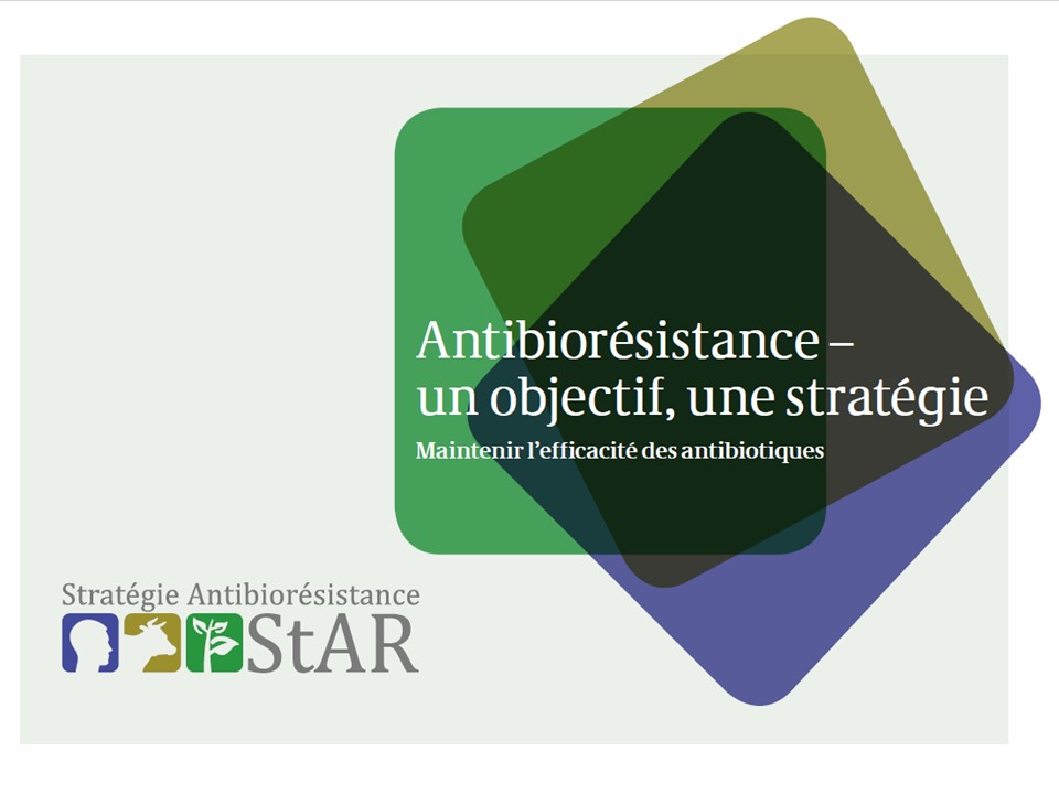 Brochure Stratégie StAR